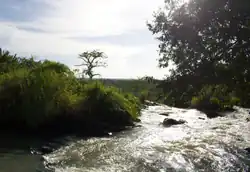 Start of Aruu on river Agago which flows through Agogo district, Uganda.