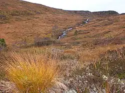 Almost above the treeline