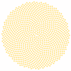 An animation showing how sunflower seeds are produced, the resulting pattern features a number of spiral shapes
