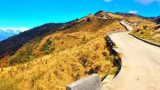 Sunbathed Trail Of Tumling