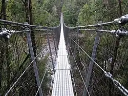 Swinging Bridge