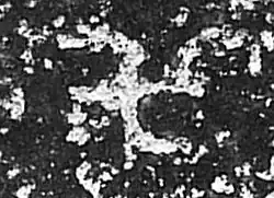 Sauwastika monogram at the end of Karna Chaupar Cave edict of Ashoka