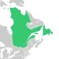 Map of Symphyotrichum × subgeminatum recorded occurrences: Newfoundland and Québec (Canada).