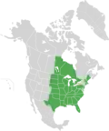 Map of North America with green shading. Data source Brouillet et.al., Flora of North America