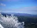 Katsuragi Mountains from Mount Takami (January 2009)