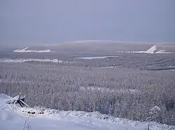 The taiga in the river valley near Verkhoyansk, Russia, at 67°N, experiences the coldest winter temperatures in the northern hemisphere, but the extreme continentality of the climate gives an average daily high of 22&nbsp;°C (72&nbsp;°F) in July