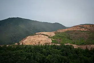Destruction of the old-growth forest at Teghut in summer 2012