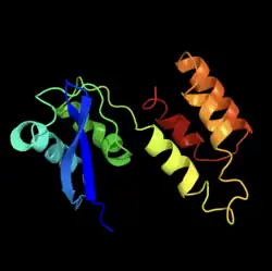 Tertiary structure of ZSWIM9