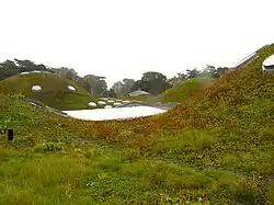 Roofscape resembles a hilly meadow