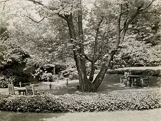 Garden in 1921.