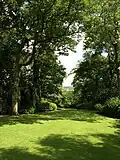 The Glade, Dartington Hall Gardens