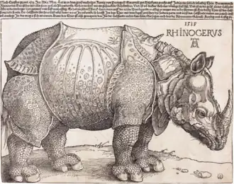 The Rhinoceros; by Albrecht Dürer; 1515; woodcut; 23.5 × 29.8&nbsp;cm; National Gallery of Art (Washington, D.C., US)