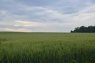 Fields off Quarry Road, the Golden Eagle-Toppmeyer Site