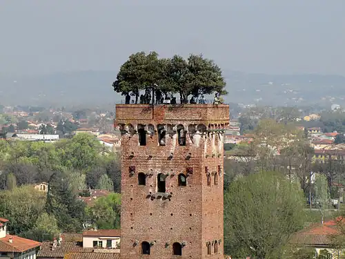 Hanging garden on the roof of the Torre Guinigi