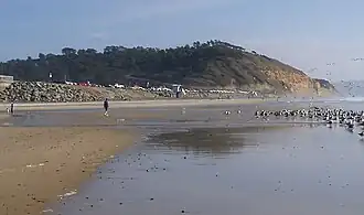 View of beach with Torrey Pines State Park in the background