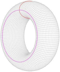 A donut shape with two circles drawn on its surface, one going around the hole and the other going through it.