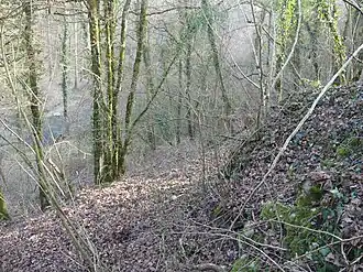 View over the tower ruins on the Versoix