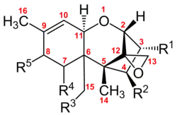 Chemical structure of the trichothecene core