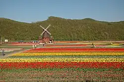 Kamiyūbetsu Tulip Fair, 2006