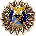 Permanent Professor Air Force Academy Badge
