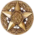 Chief Professional Officer Badge