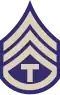 The T/3 insignia of a letter "T" below three chevrons and above an arc of one bar.