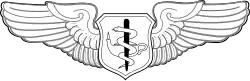 Flight Nurse Badge