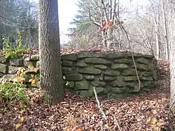 A low fieldstone wall next to a tree trunk in a wooded area