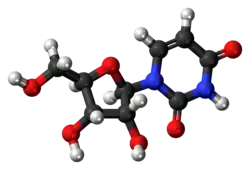 Ball-and-stick model of the uridine molecule
