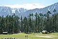 Pine forests occur in Swat at elevations over 1,500&nbsp;m (5,000&nbsp;ft)