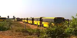 Line of yellow buses