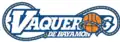 Vaqueros de Bayamón logo