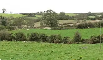 View eastwards across the valley floor towards the abandoned Downpatrick and Ardglass Railway Line (2011)