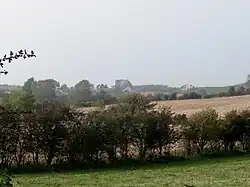 View towards Legamaddy Catholic Chapel (2011)