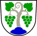 Coat of arms of Vipava