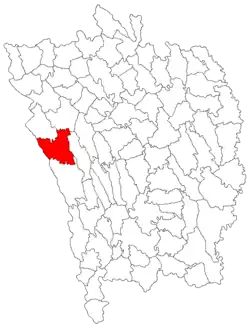 Location in Vaslui County