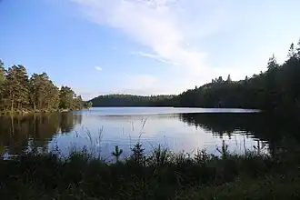 A lake surrounded by greenery and trees.