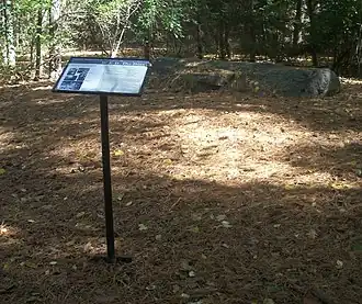 An informational plaque with "Boulder Dedicated to the Legacy of W. E. B. Du Bois" headlining text and pictures in the front on a slender black stand to the right. It stands in a clearing in a wooded area covered in orange downed pine needles; to its rear, on a small rise, is the boulder referred to on the plaque.