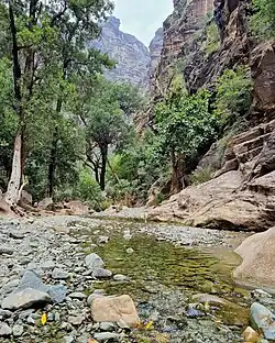 Wadi Lajab in Jazan, Saudi Arabia