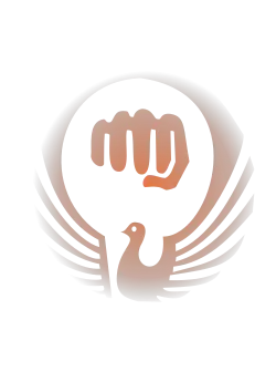 The flag of Wadō-ryū.