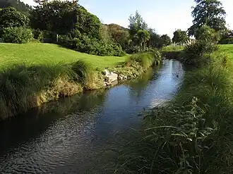 Stream with vegetation on banks