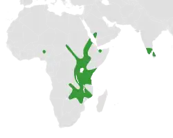Map showing distribution of Wajira in Africa, the Arabian Peninsula and southern India