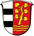Coat of arms of Brachttal