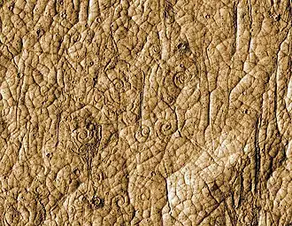 Spirals interpreted to be lava coils[3] on the surface of a Martian lava lake in Cerberus Palus. Field of view is about 500 m.
