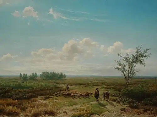 Wide Heathland Landscape