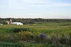 Farm on Gilmore Road