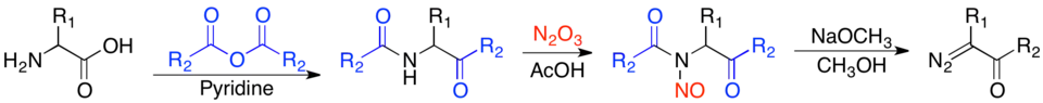Franzen modification to Dakin-West reaction