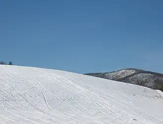 Woody's Knob From 221