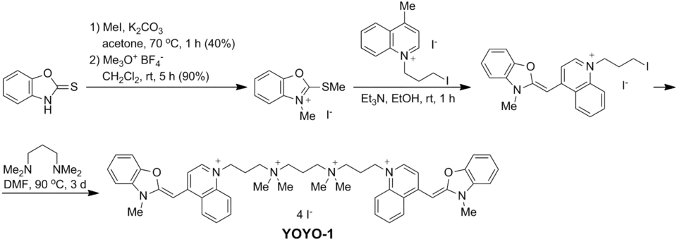 YOYO-1 synthesis