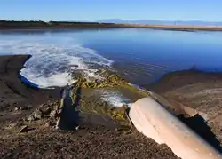 Manure lagoon in California